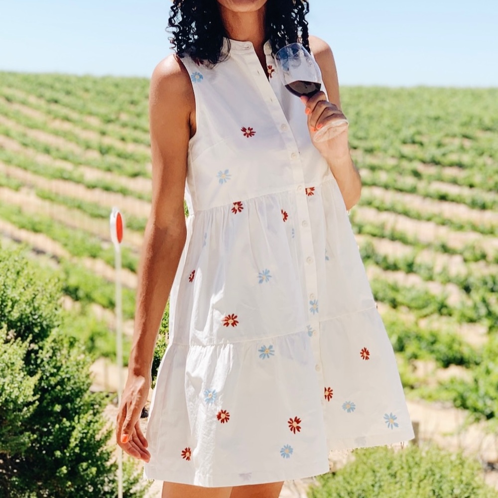 Embroidered Madewell Dress